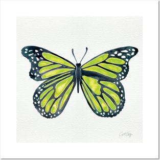 Lime Butterfly Posters and Art